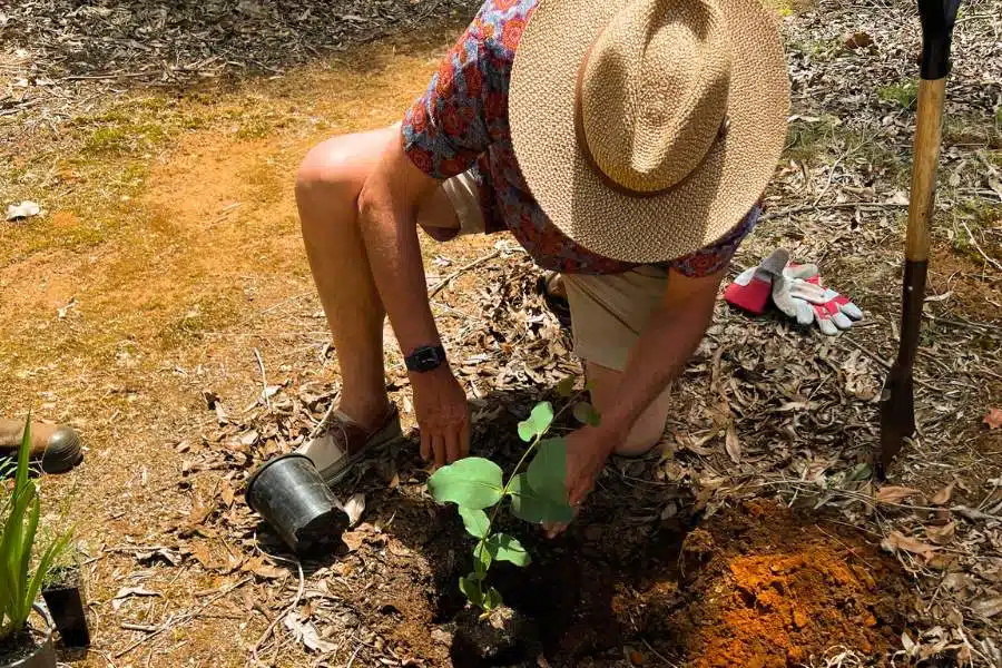 Here we explain the cost of tree pod burial in Perth Australia