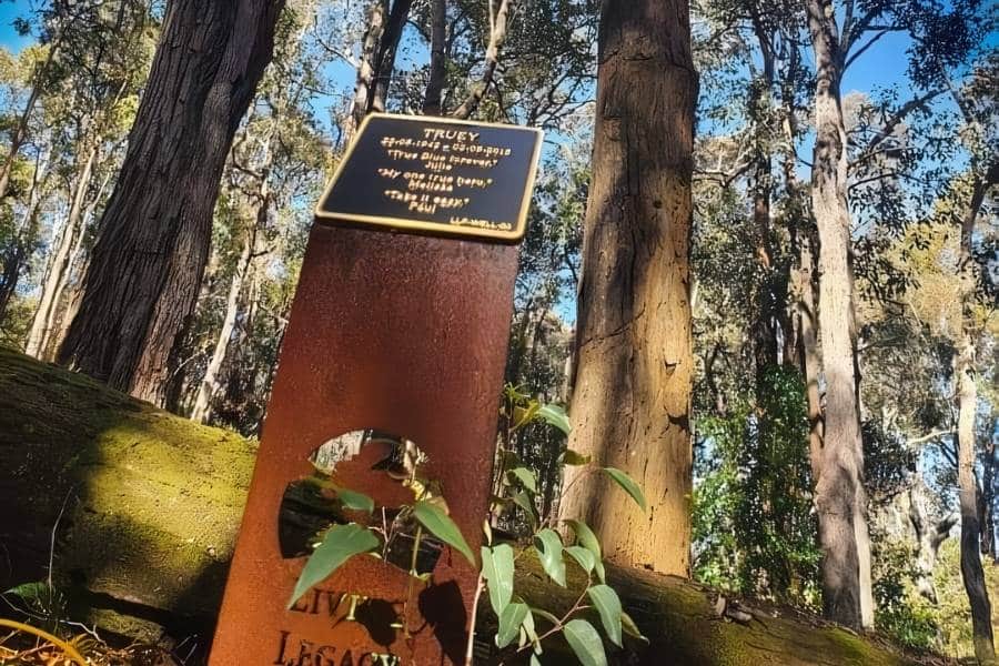 One of the best things to do with human ashes in Perth is Living Legacy Trees and its The Most Eco-Friendly Option In Perth