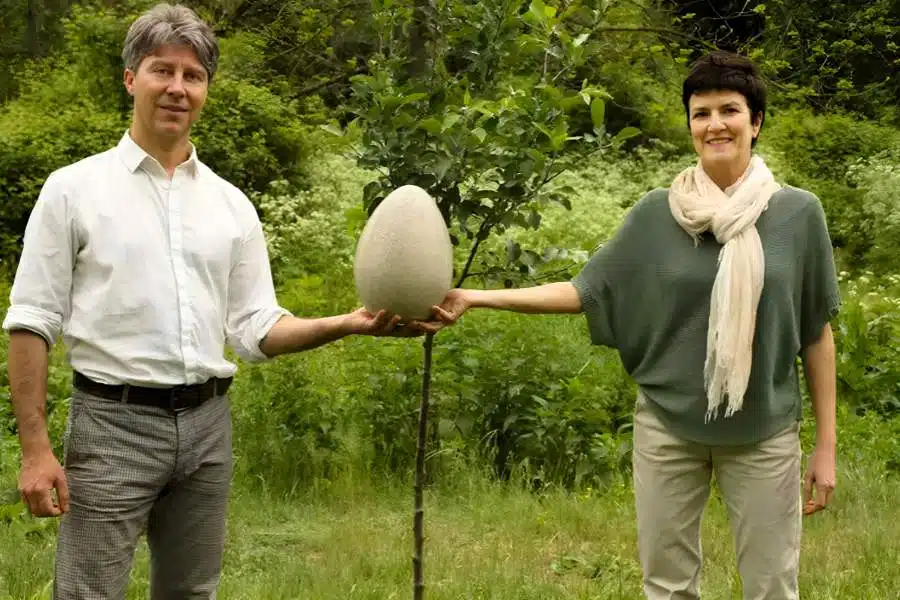 A full guide about tree pod burial in Perth Australia Wellington Dam Living Legacy Forest