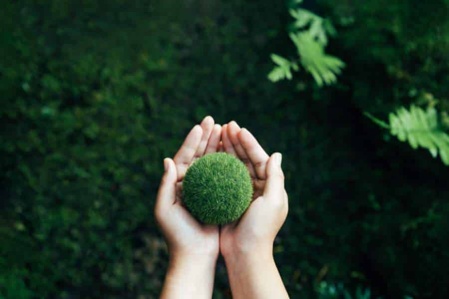 What are the environmental benefits of human composting in Perth Australia? by Wellington Dam Living Legacy Forests