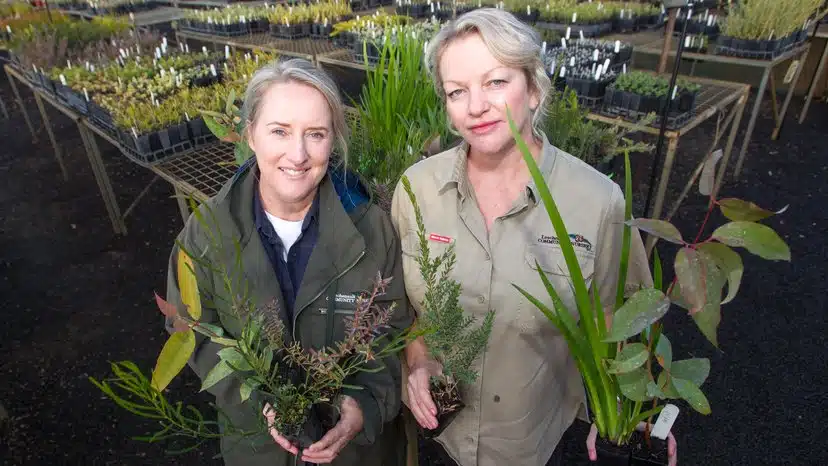 World first Living Legacy Forest to provide unique memories near Wellington Dam
