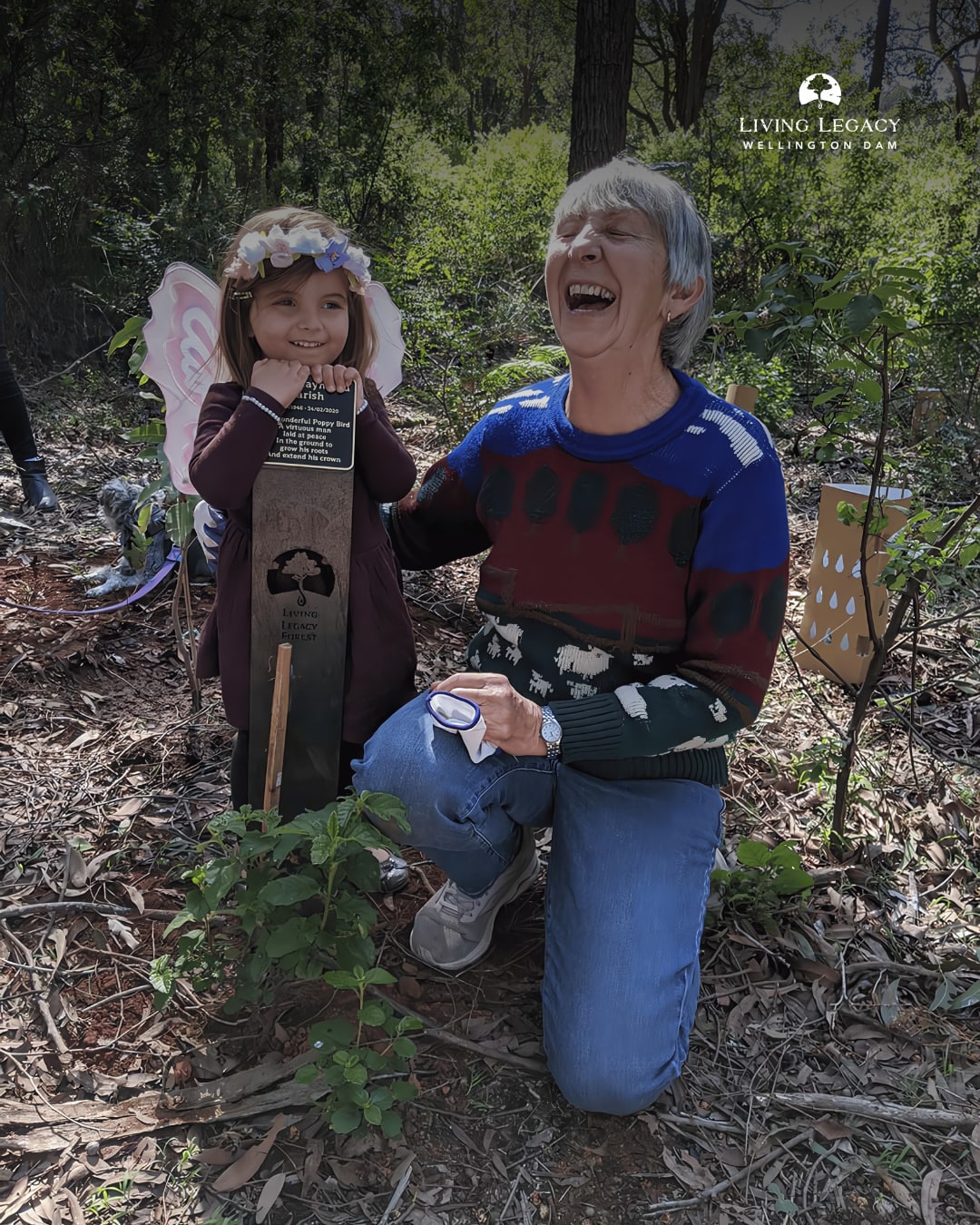 A memorial tree is more than a resting place—it’s a living legacy that grows, nurtures wildlife, and stands for generations to come