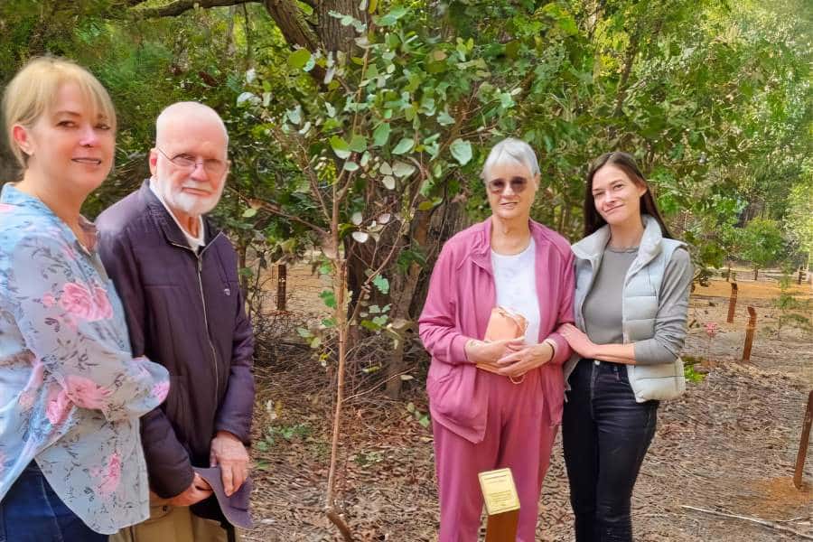 Budget-Friendly Funerals In Perth Australia By Wellington Dam Living Legacy Forest