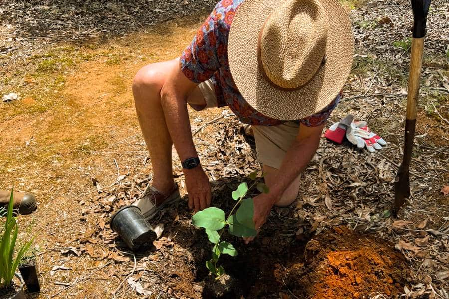 Learn everything about how does memorial gardens for ashes work in Western Australia