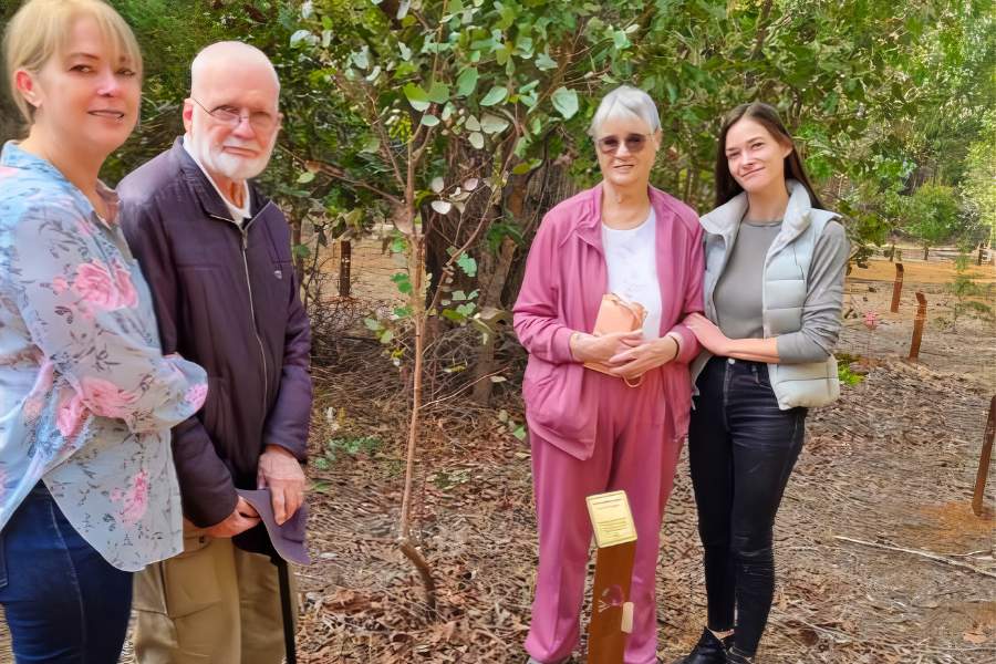 Here we explain how much does a memorial garden for ashes in Perth cost by Wellington Dam Living Legacy Forest