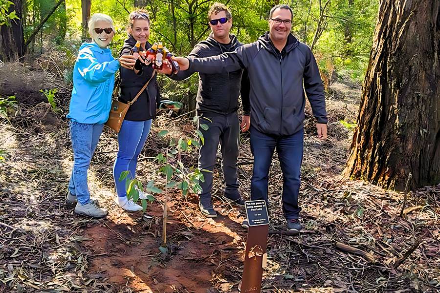 Learn The Process Of Memorial Tree In Australia At Wellington Dam Living Legacy Forest