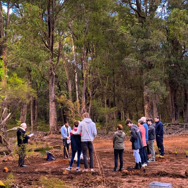 Planting A Memorial Tree In Western Australia At Wellington Dam Living Legacy Forest