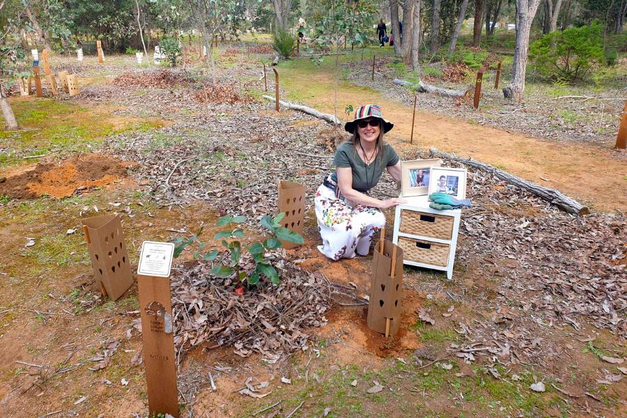 The Full Explanation Of The Process Of Memorial Trees In Australia