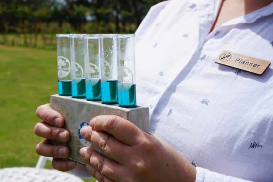 The Science Behind Living Legacy Trees To Treat Your Mom Ashes