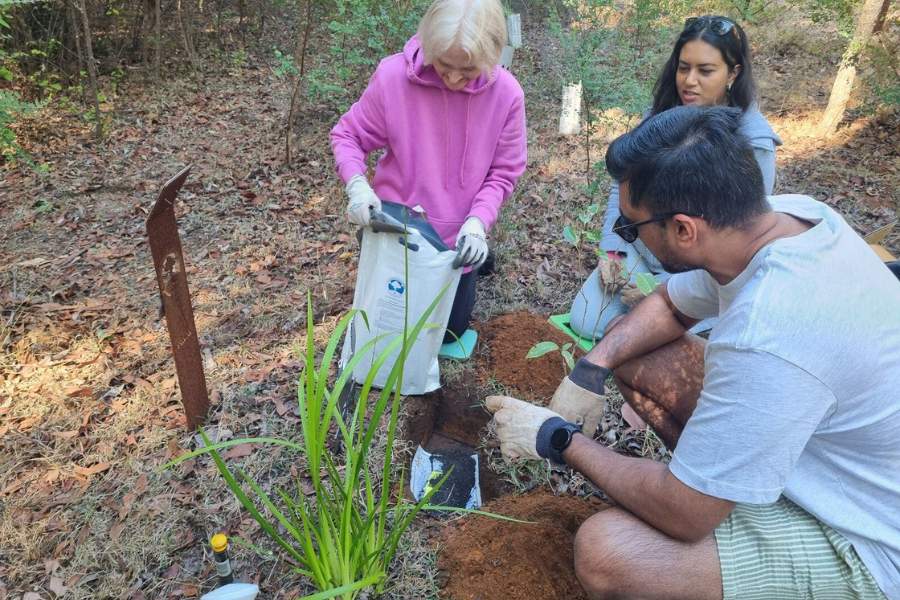 A man treating ashes to infuse into a memorial garden in Wellington Dam Living Legacy Forest Worsley Western Australia