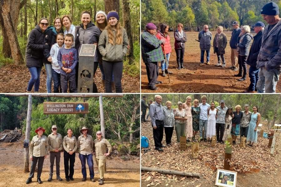 What To Do With My Mom's Ashes In Perth Australia? You Can Infuse Their Ashes Into Living Legacy Trees Just Like These Families
