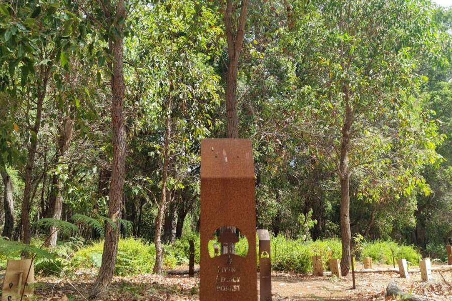 The types of trees you can plant in a memorial garden for ashes in Perth and Western Australia are Jarrah, Blackbut, Marri and Eucalyptus & Bullich tree species