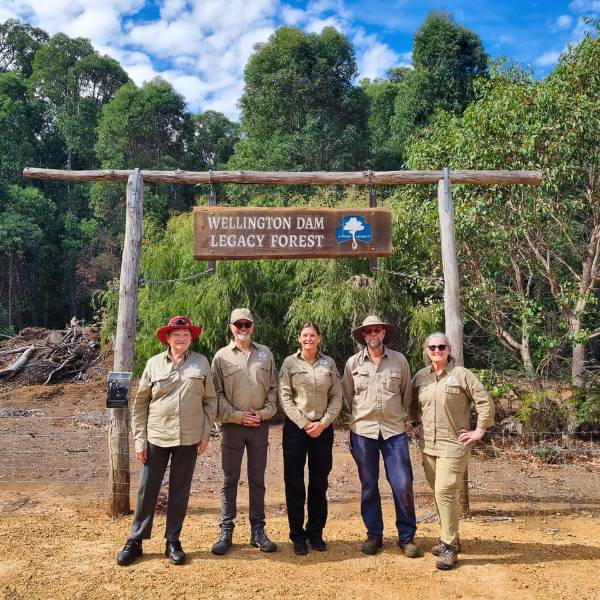 Where Is Wellington Dam Living Legacy Forest Located_ It is located At Worsley Western Australia