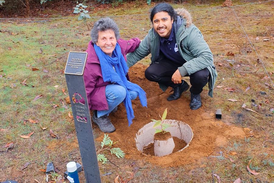 Burial plot in Perth is expensive the alternative to it is Living Legacy Trees at Wellington Dam Living Legacy Forest