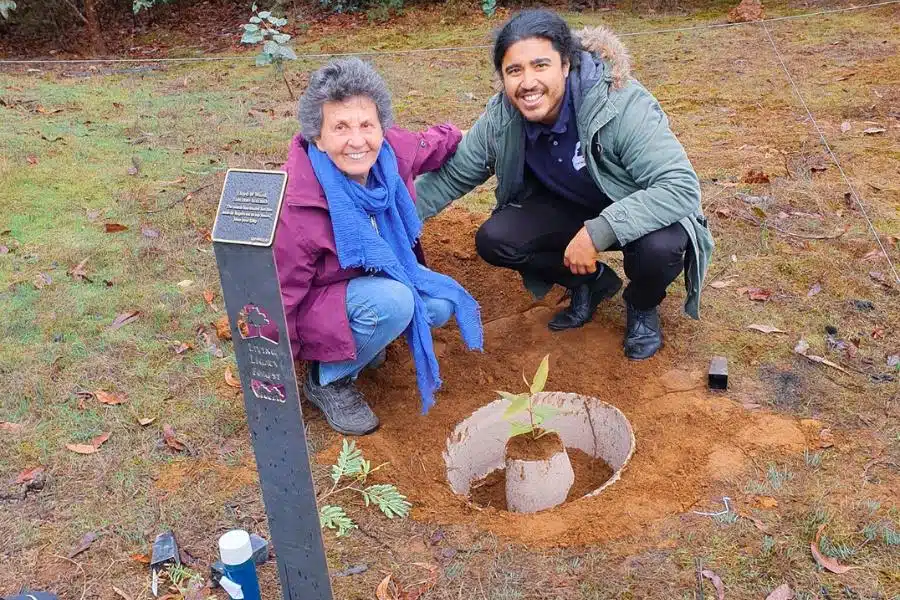 Burial plot in Perth is expensive the alternative to it is Living Legacy Trees at Wellington Dam Living Legacy Forest
