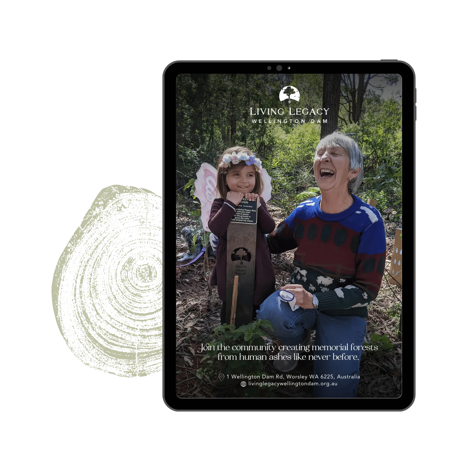 Download The Brochure Of Wellington Dam Living Legacy Forest