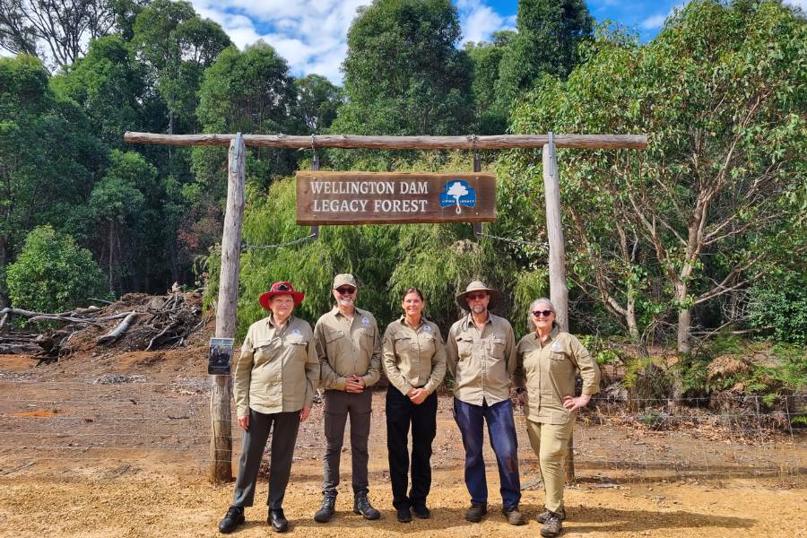 You can plant a memorial tree in Perth at Wellington Dam Living Legacy Forest and start by learning types of memorial trees you can plant in Perth with Wellington Dam Living Legacy Forest