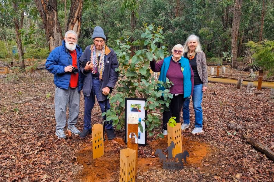 Memorial tree in Western Australia, near Bunbury and Collie