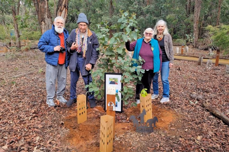 A family plant a memorial tree at Wellington Dam Living Legacy Forest