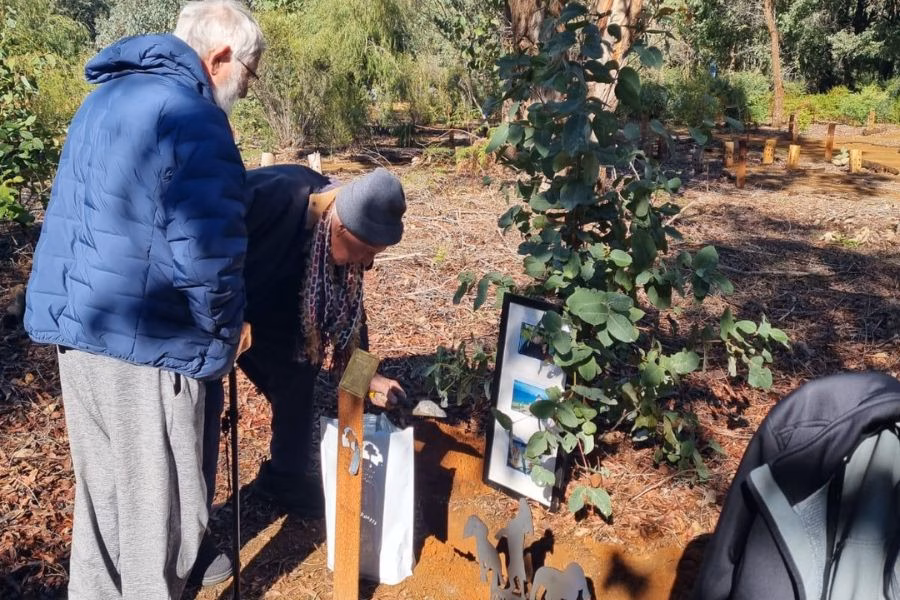 A man infuse ashes into a memorial tree at Wellington Dam Living Legacy Forest