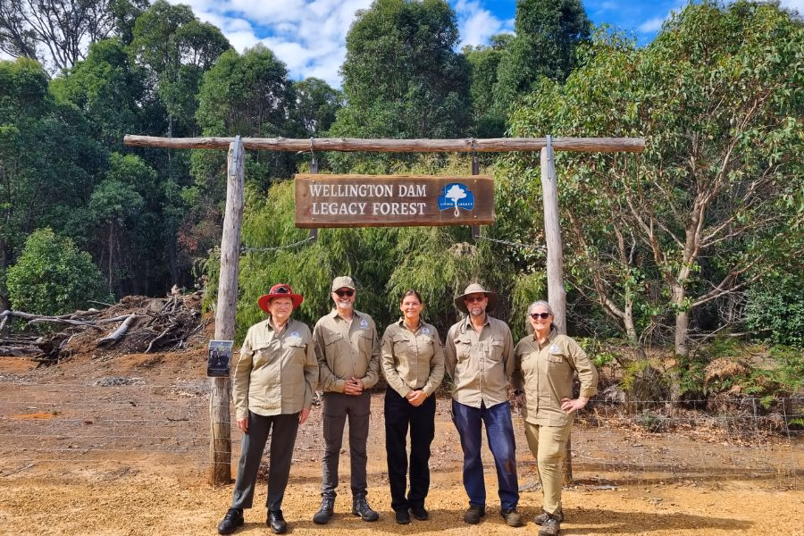 Visit and see Jarrah Tree at Wellington Dam Living Legacy Forest