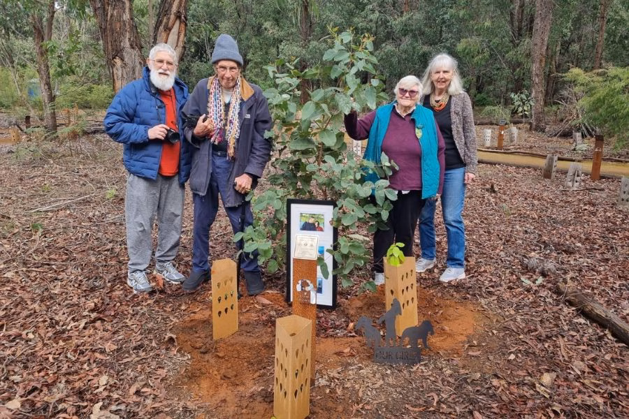 Infused the ashes of your loved ones into a Jarrah Tree at Wellington Dam Living Legacy Forest