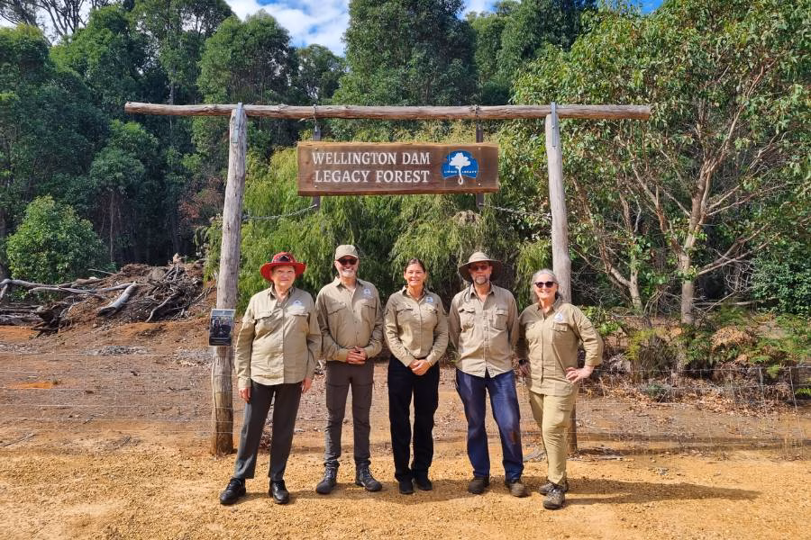 Wellington Dam Living Legacy Forest is the location to become a tree when you die in Perth and Western Australia