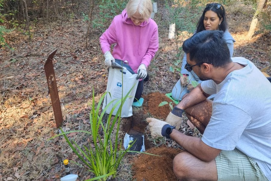 things to do with ashes in Bunbury a family infusing ashes into Living Legacy Memorial Trees at Wellington Dam Living Legacy Forest
