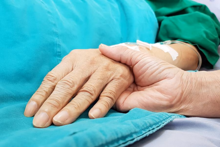 The Process Of End-Of-Life Care In Perth, Australia By Wellington Dam Living Legacy Forest