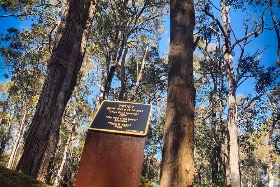 The best choice for things to do with ashes in Bunbury Western Australia is Living Legacy Trees at Wellington Dam Living Legacy Forest just 30 minutes east of Bunbury