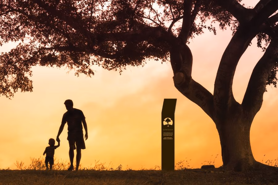 Full Guide Of Memorial Tree In Western Australia