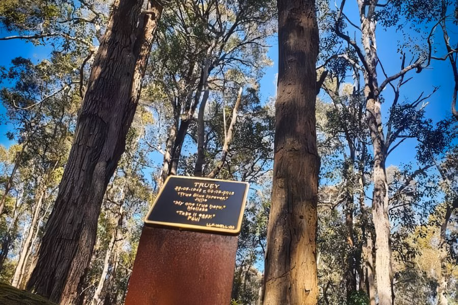 How Much Does Memorial Tree Cost In Western Australia