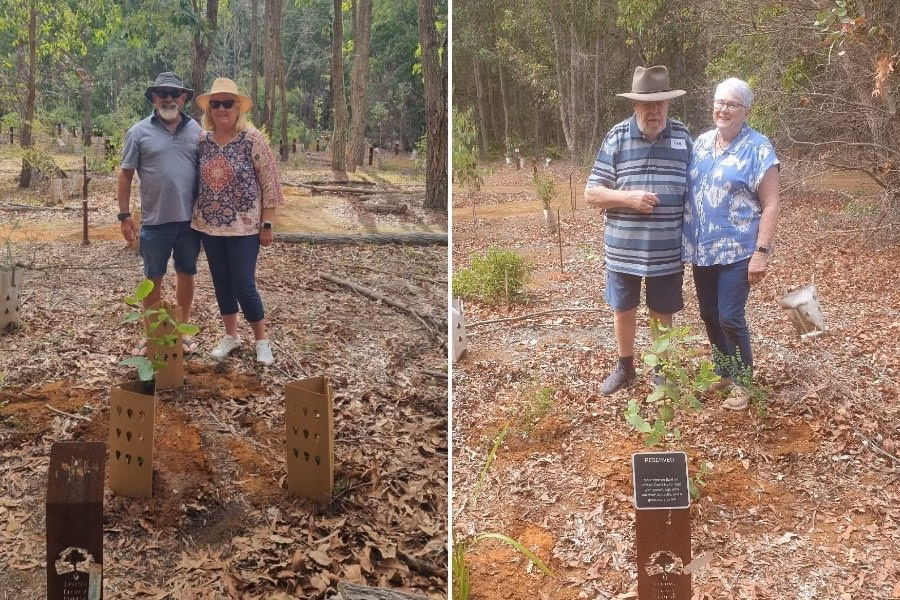 One Of The Best Retirement Planning In Perth Involves Living Legacy Trees At Wellington Dam Living Legacy Forest
