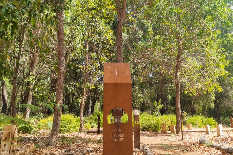 Planting A Memorial Tree Near Me In Western Australia