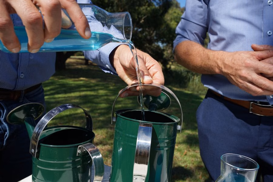 The Science Of Memorial Trees In Western Australia