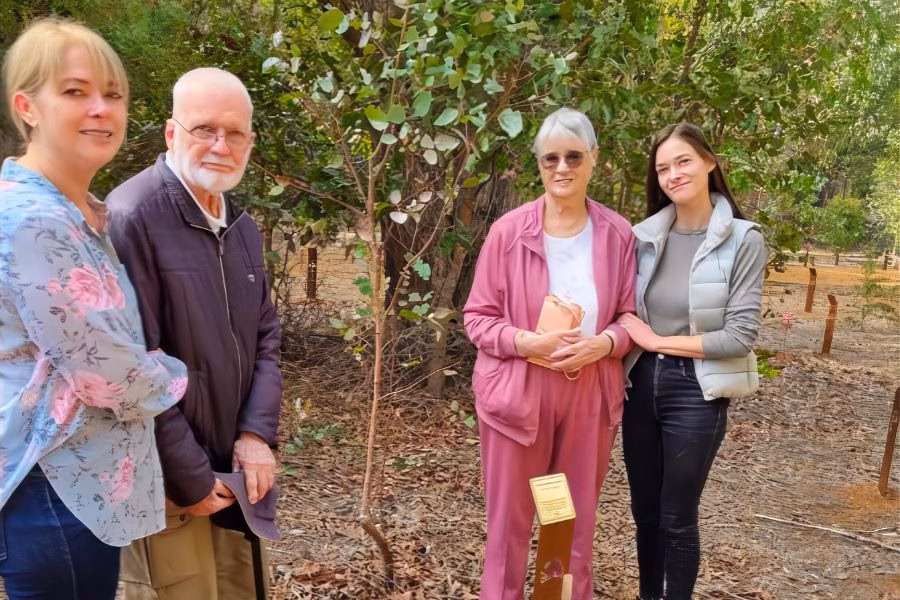 Tree For Memory In Western Australia