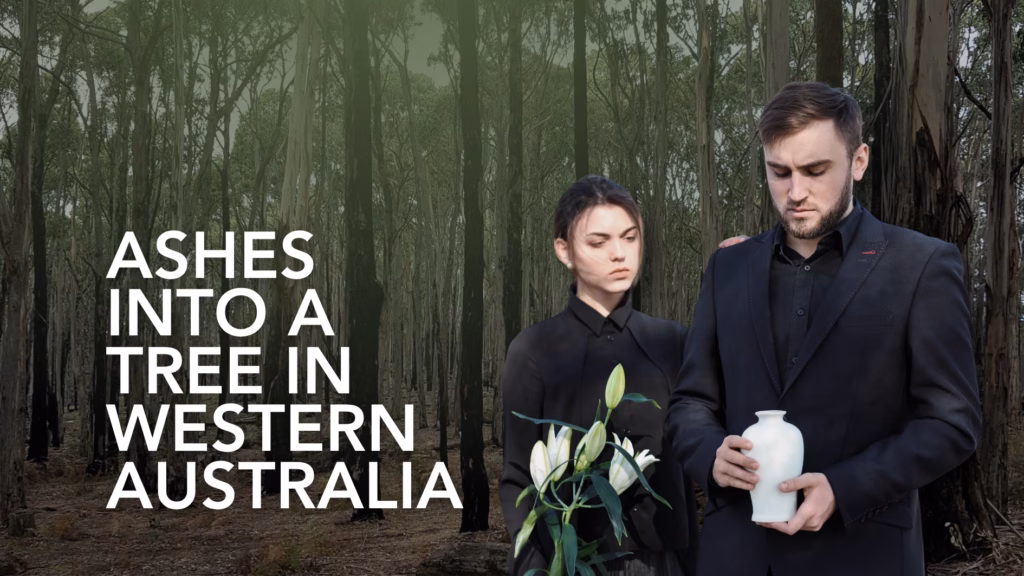 Ashes Into A Tree In Western Australia_ Full Guide