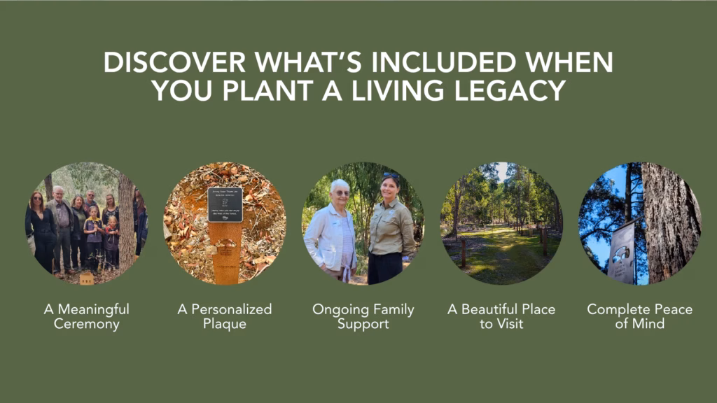 wellington dam living legacy forest package