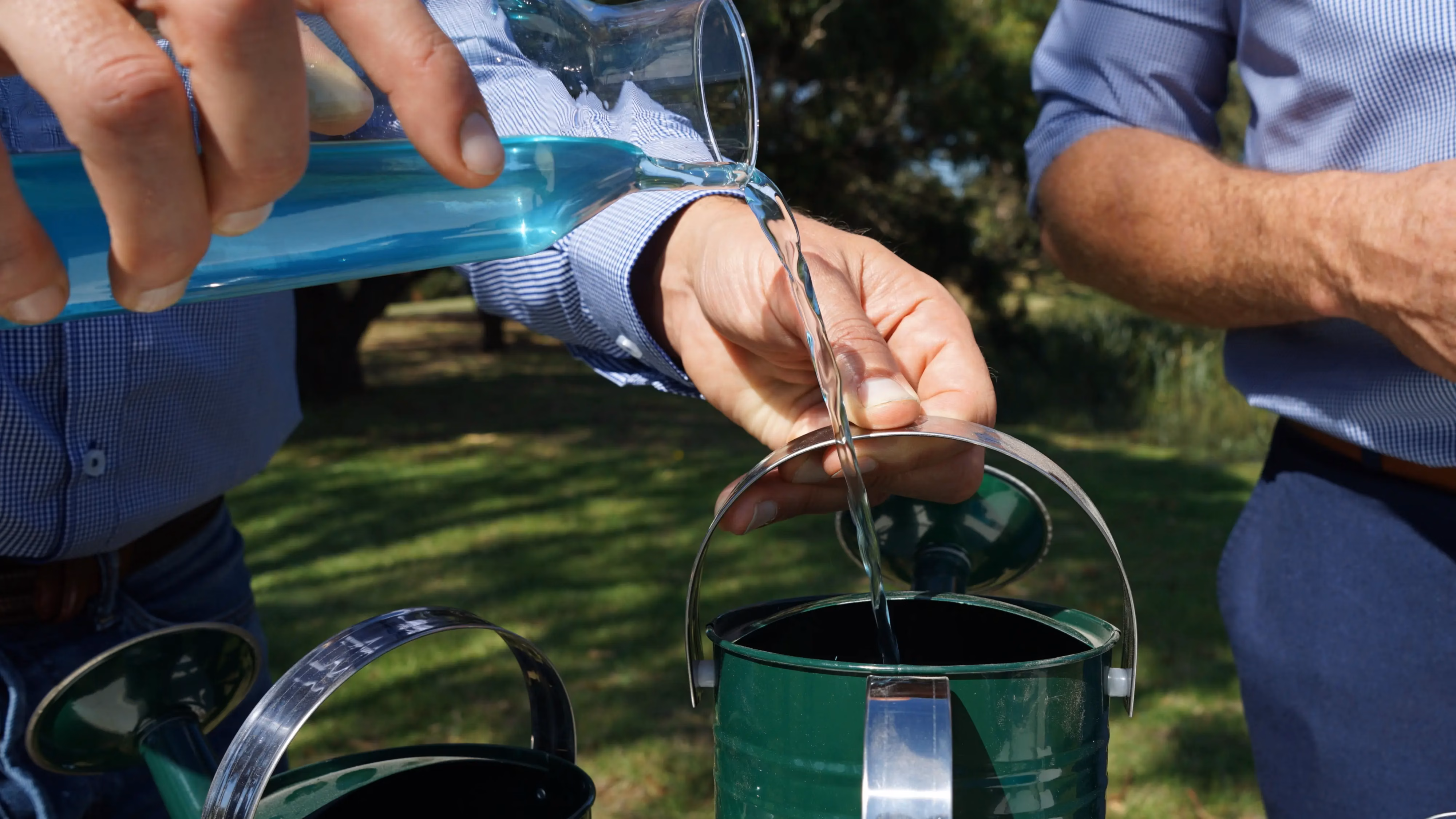 living legacy ashes process