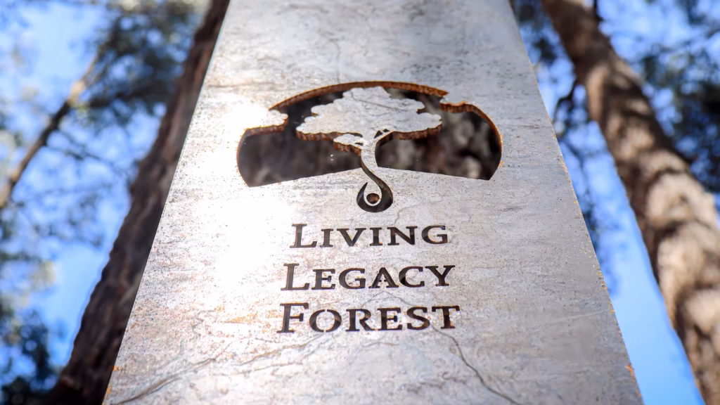 living legacy forest wellington dam