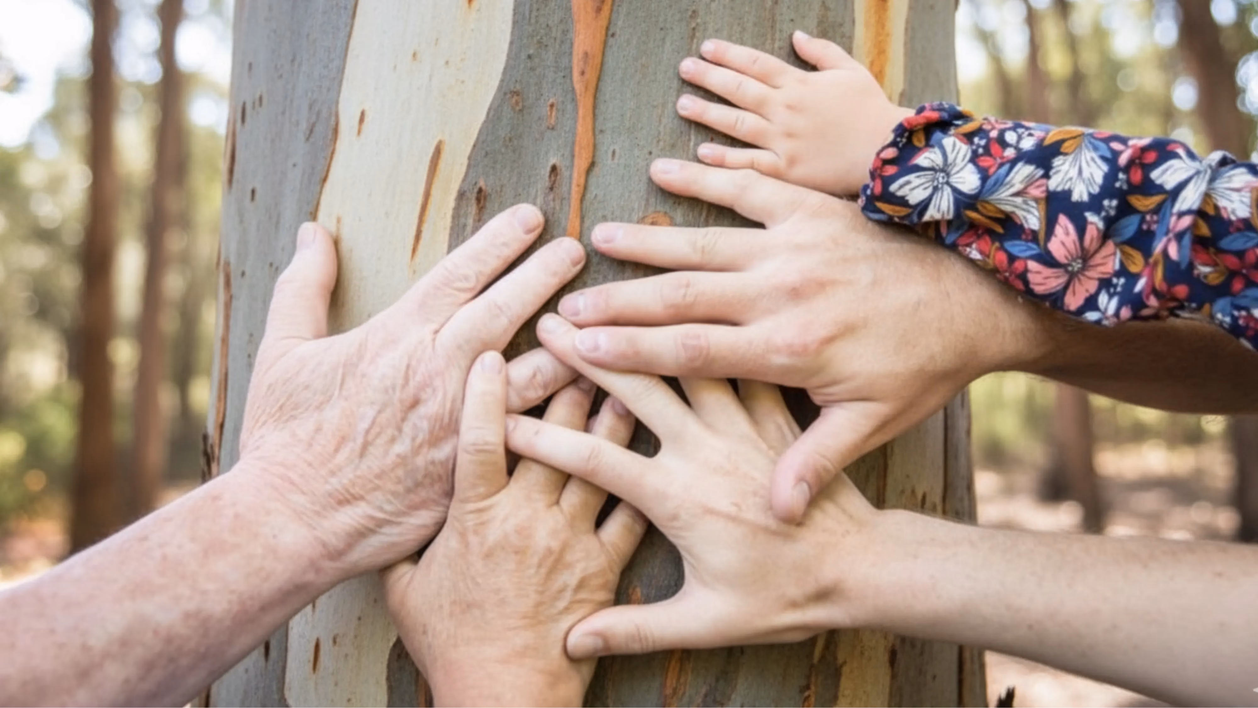 all family hands on the tree
