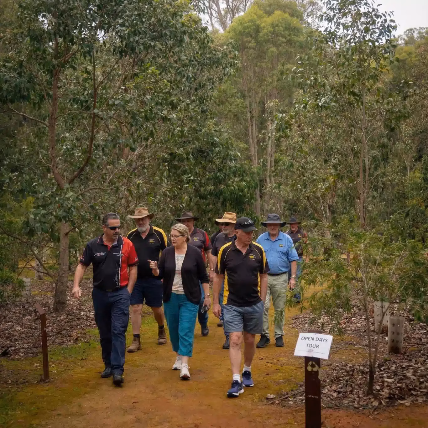 Guided forest tour during Wellington Open Days