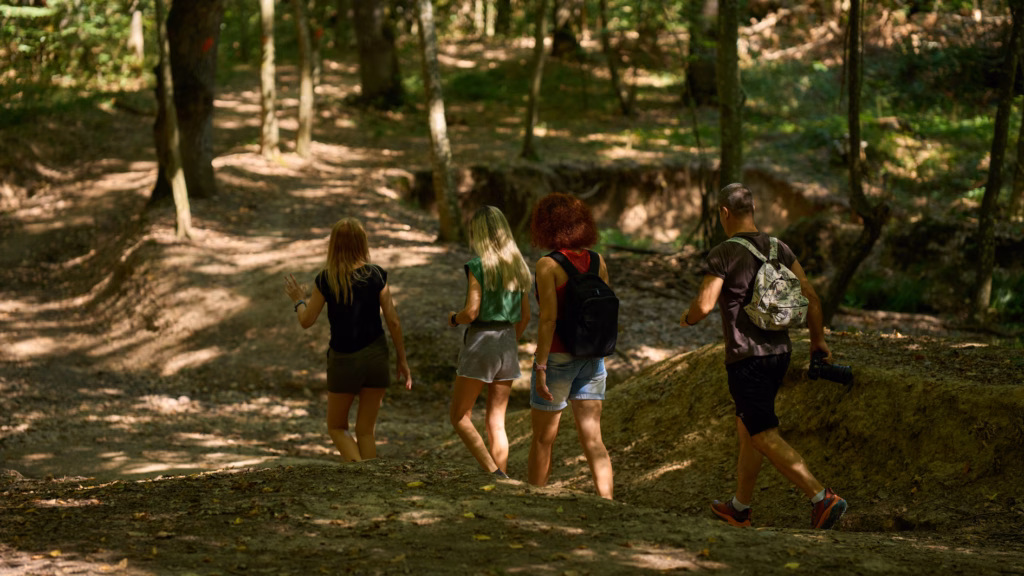 most people follow hiking trails activities in Wellington National Park