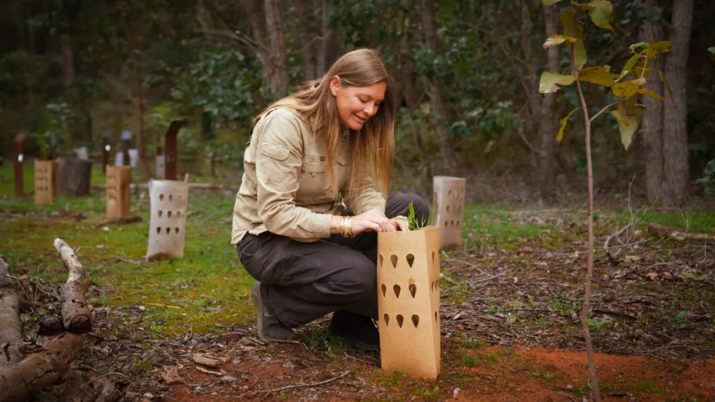 placing a biodegradable urn into the ground during a natural ash burial ceremony in legacy conservation forest at wellington dam