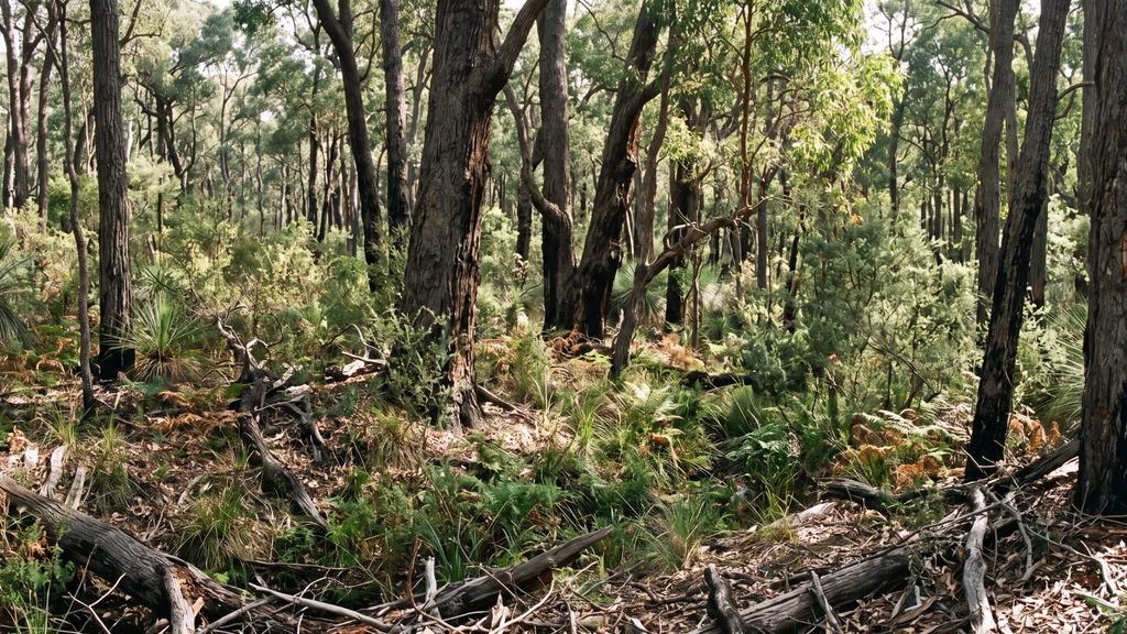 Mainland quokka habitat in Southwest WA