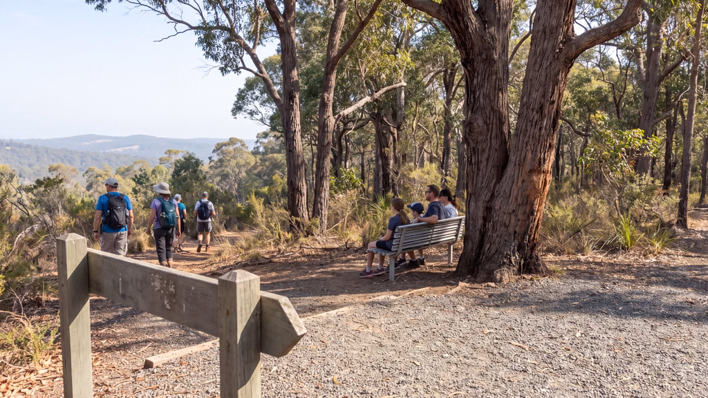 Visitors walking through Wellington National Park