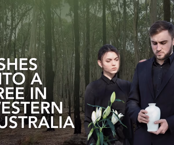 Ashes Into A Tree In Western Australia_ Full Guide