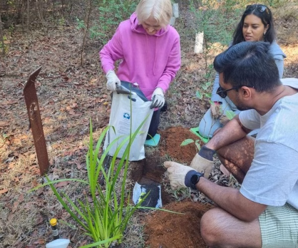 things to do with ashes in Bunbury a family infusing ashes into Living Legacy Memorial Trees at Wellington Dam Living Legacy Forest