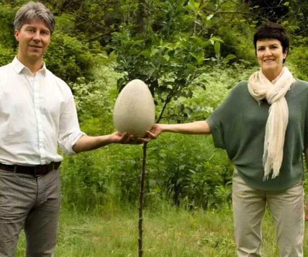A full guide about tree pod burial in Perth Australia Wellington Dam Living Legacy Forest
